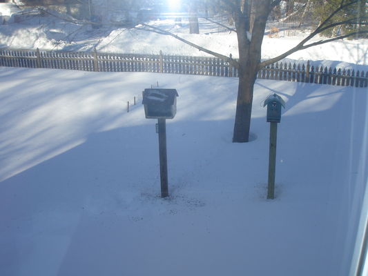 20130210-092555
