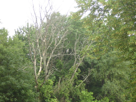 20150621-162800.jpg