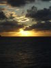 Filename=20120323-172310.jpg
Filesize=2584KiB
Dimensions=2304x3072
Date added=Jun 03, 2012 20120323-172310.jpg