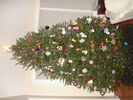 20161216-214400.jpg