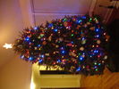 20161216-214505.jpg