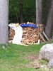 20170512-113044.jpg