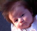 Filename=20010428-1850.jpg
Filesize=34KiB
Dimensions=501x417
Date added=Feb 14, 2005 20010428-1850.jpg