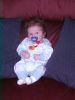 Filename=20010506-1204.jpg
Filesize=49KiB
Dimensions=384x512
Date added=Feb 14, 2005 20010506-1204.jpg