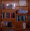 Filename=20010605-1809-1.jpg
Filesize=60KiB
Dimensions=578x600
Date added=Feb 15, 2005 20010605-1809-1.jpg