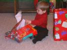 Filename=20021225-1103-1.jpg
Filesize=86KiB
Dimensions=800x600
Date added=Feb 14, 2005 20021225-1103-1.jpg