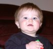 Filename=20020121-1804.jpg
Filesize=57KiB
Dimensions=600x552
Date added=Feb 16, 2005 20020121-1804.jpg