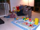 Filename=20020202-2103.jpg
Filesize=76KiB
Dimensions=600x450
Date added=Feb 16, 2005 20020202-2103.jpg