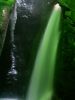 20030913-070220.jpg