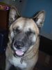 DSCN0408.JPG