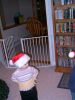 Filename=20051211-194317.jpg
Filesize=91KiB
Dimensions=576x768
Date added=Dec 16, 2005 20051211-194317.jpg