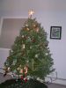 Filename=20051211-201847.jpg
Filesize=82KiB
Dimensions=576x768
Date added=Dec 16, 2005 20051211-201847.jpg