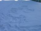 Filename=20051213-111847.jpg
Filesize=49KiB
Dimensions=1024x768
Date added=Dec 16, 2005 20051213-111847.jpg