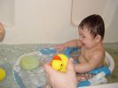 Filename=DSC08410.JPG
Filesize=57KiB
Dimensions=800x600
Date added=Feb 14, 2006 DSC08410.JPG
