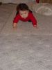 Filename=DSC08419.JPG
Filesize=68KiB
Dimensions=450x600
Date added=Feb 14, 2006 DSC08419.JPG
