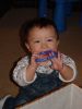 Filename=DSC08505.JPG
Filesize=39KiB
Dimensions=450x600
Date added=May 13, 2006 DSC08505.JPG