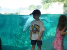 Filename=20070812-161347.jpg
Filesize=128KiB
Dimensions=1024x768
Date added=Aug 28, 2007 20070812-161347.jpg