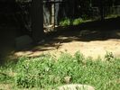 20080817-123338.jpg