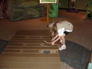 20100729-135655.jpg